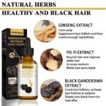 templateactive2 60892276 61de 4f47 a5aa 70745e48ff22