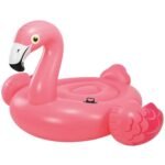 57558NP 637c3410 ed64 4982 96b6 ce47ae7d565c.jpg