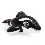 58590 021dbeb3 93de 4568 be42 9c3202d67310.jpg