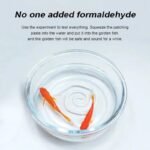 spp 20240808171037 39a7023f612efc3c4208f4ef2cd35202 9e5d16c9 4ff8 43d7 8230 20870db03279.jpg