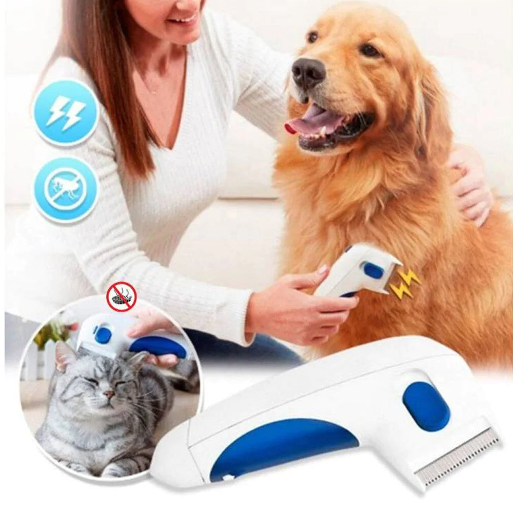 097298100017 1 de7aa0f5 9a06 4de8 bbc7 48af2b48e867 1.webp