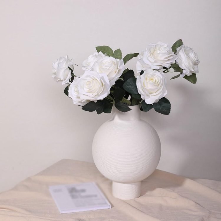 517vsw7fpEL. AC SL1024 .jpg