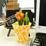 71OHhdYl0sL. SL1300.jpg