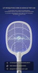 71rJ6XshraL. SL1500 .jpg