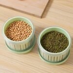 81VbRAp0c7L. AC SL1500 .jpg