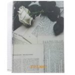 9786036584325 3 ef107cdb 62da 4b79 9cc1 20bb8a92fb3a 1 1.jpg