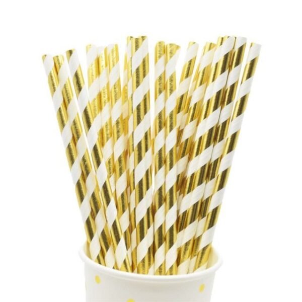 Rose Gold Paper Straws Birthday party Compostable Biodegradable Drinking Paper Straws Eco Friendly Recyclable for Cocktail.jpg 640x640 4.jpg