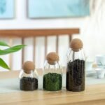 Untitled 1 Recovered c450aa03 019e 480a a1a8 7ad6c7476228 1 1.jpg