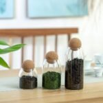 Untitled 1 90527aef 28e0 4ed6 900b a953a75505e1.jpg