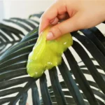 Untitled 1 9c2bbad0 70b8 463f 81cb 76e999c13864 1024x1024.webp