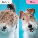 templateactive 48a539ac 63ad 42ec bc8b 5f2be7eab070.jpg