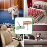 61Ux2FASldL. AC .jpg