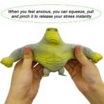 WhatsAppImage2025 08 22at3.41.06PM 1.jpg