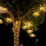 71EZfak41DL. AC SL1200 .jpg